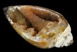 Chalcedony Replaced Gastropod With Druzy Quartz - India #128772-2